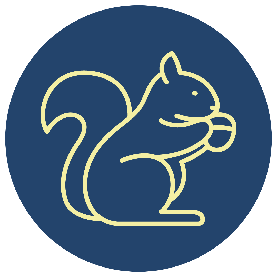 JEPSI,OŦEN (squirrel)