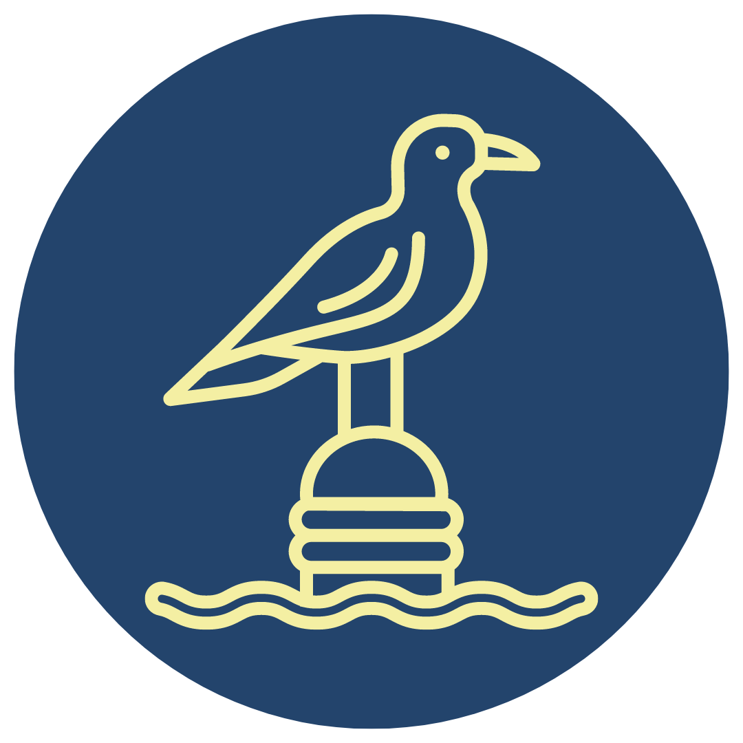 ḰENI (seagull)